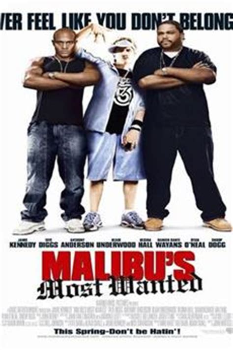 Download Malibu's Most Wanted (2003) YIFY Torrent for 720p ...