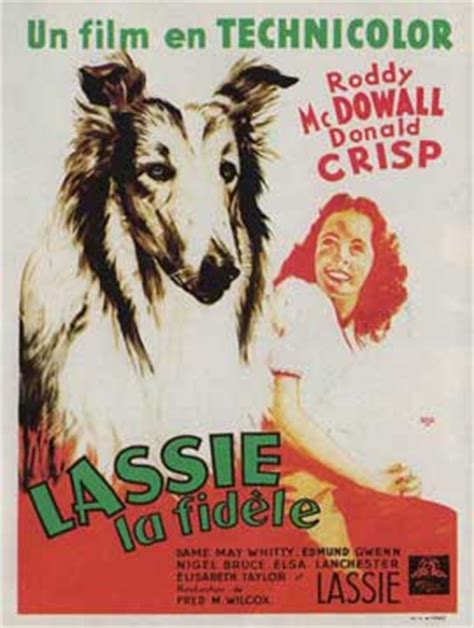 Lassie, Come Home Movie Posters From Movie Poster Shop