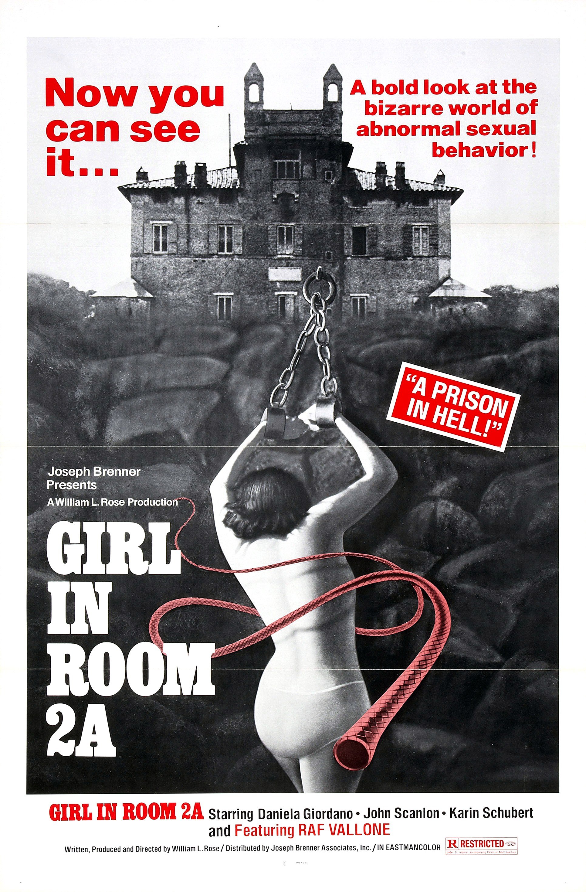 The Girl in Room 2A [1974]