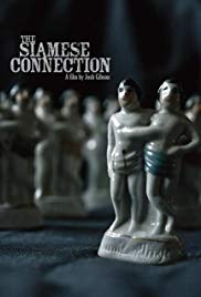 The Siamese Connection