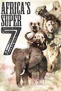Africa's Super Seven