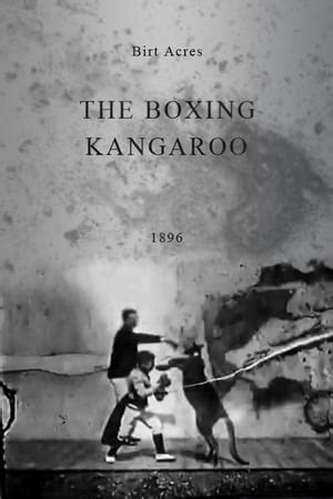 The Boxing Kangaroo (1896) — The Movie Database (TMDb)