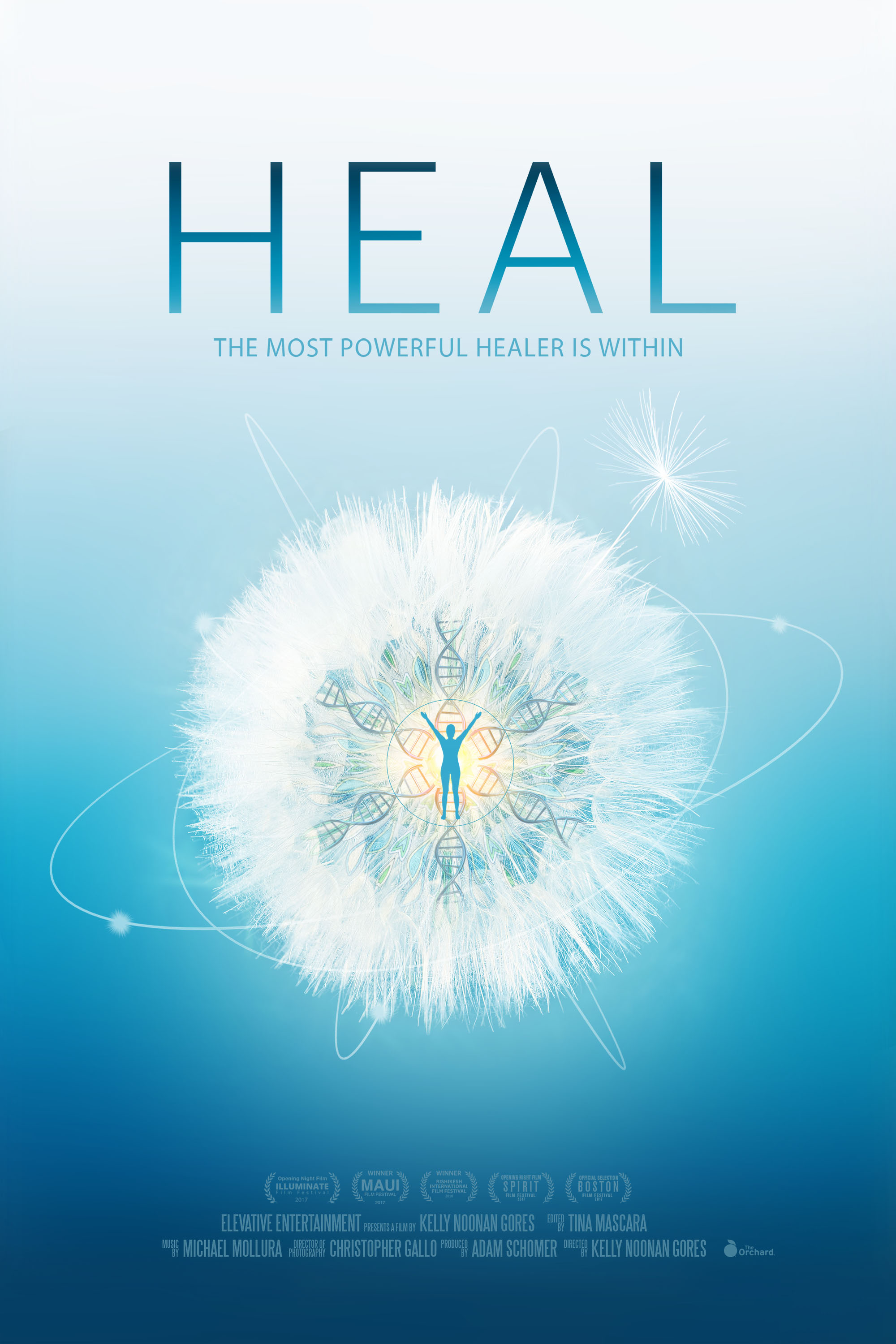 Heal [2017]