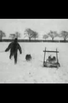 ‎Kørsel med Grønlandske hunde (1897) directed by Peter ...