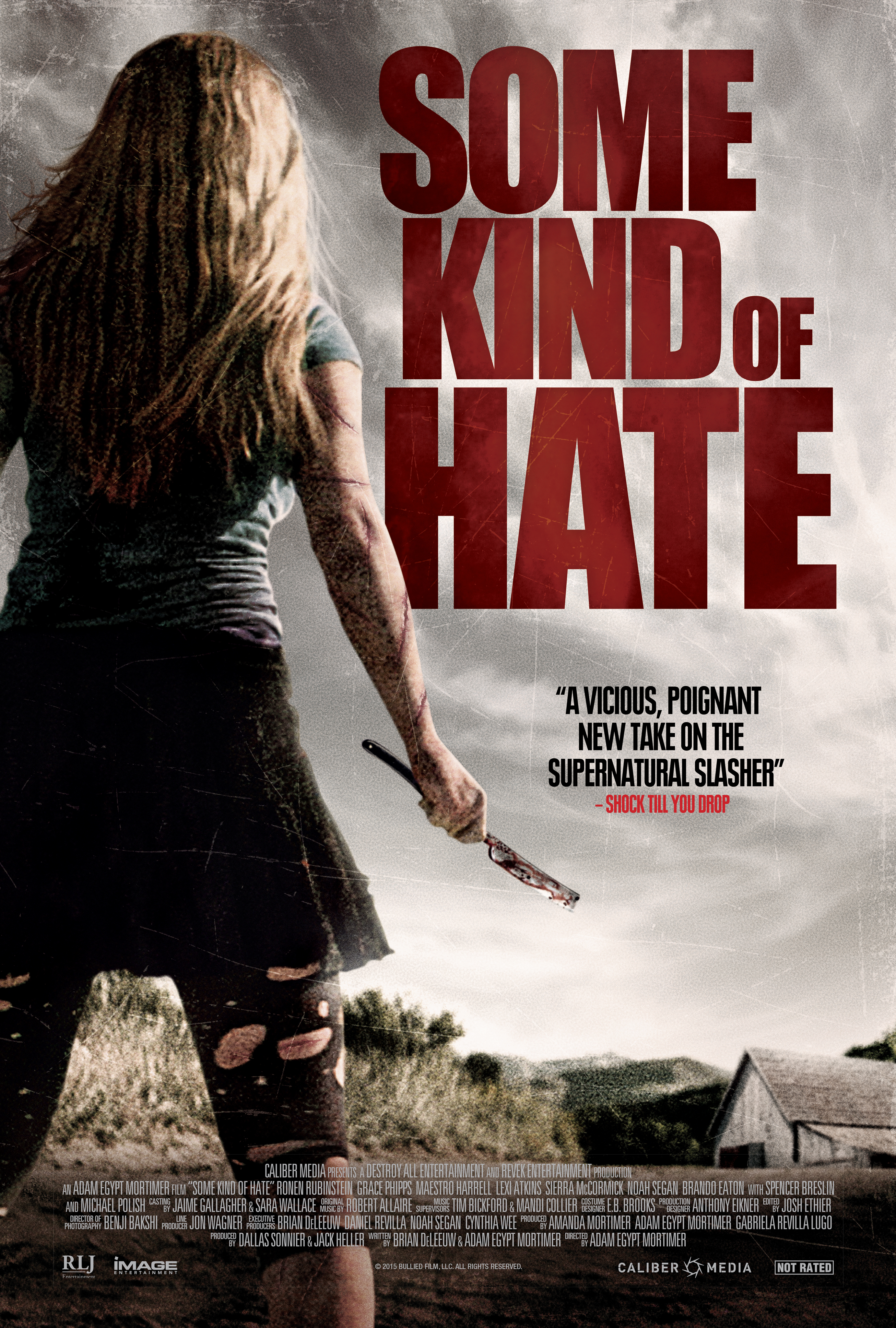 Some Kind of Hate [2015]