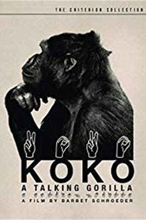Koko: A Talking Gorilla