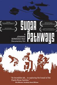 Sugar Pathways