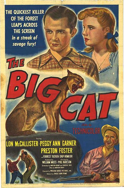 The Big Cat (1949 film)