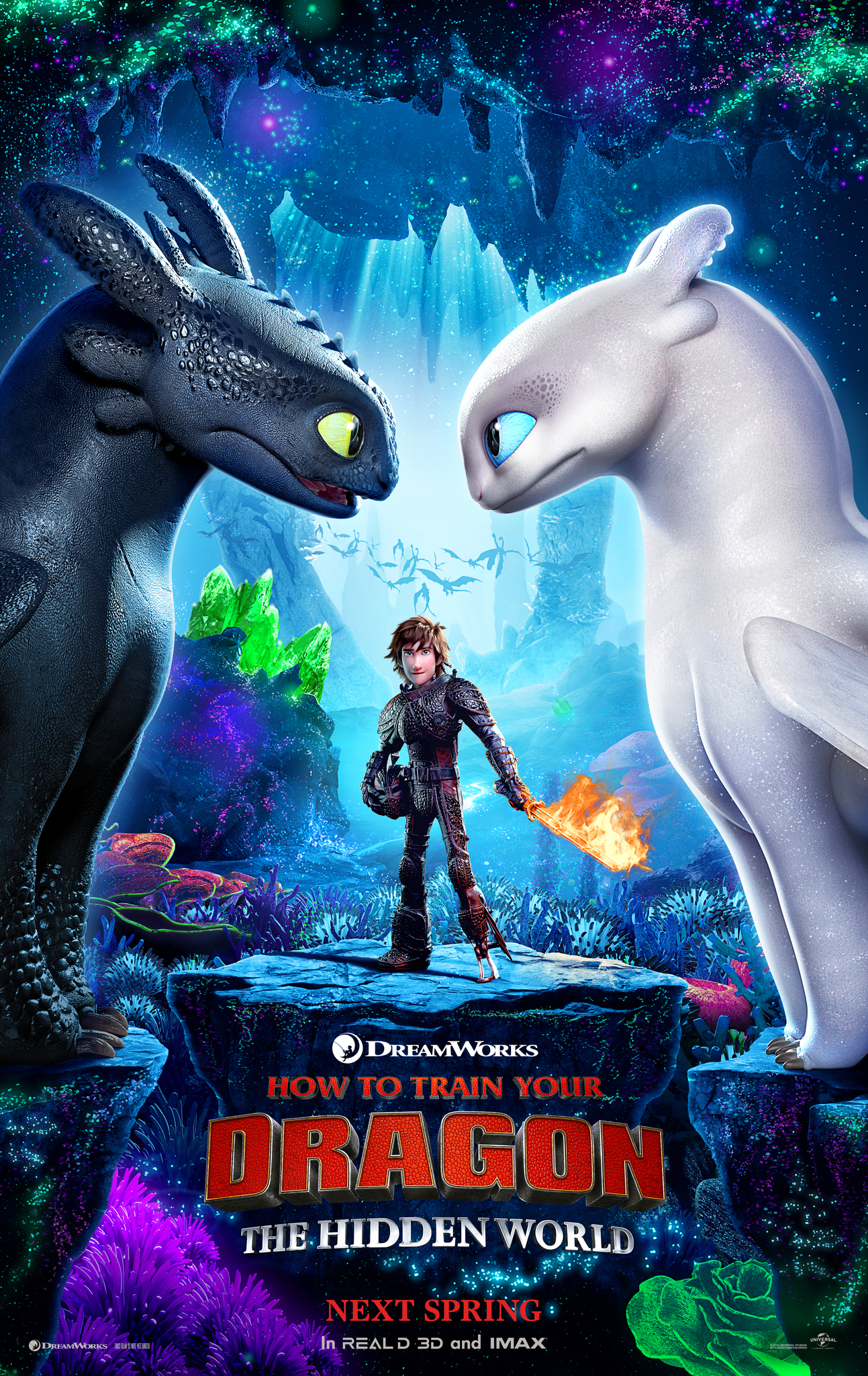 How to Train Your Dragon: The Hidden World [2019]