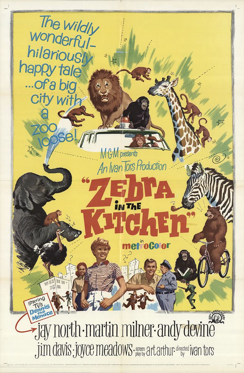 Zebra in the Kitchen [1965]