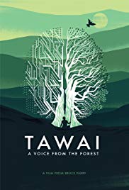 Tawai: A Voice from the Forest