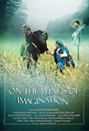 On the Wings of Imagination