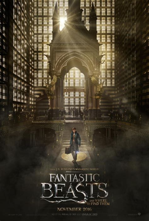 Fantastic Beasts and Where to Find Them DVD Release Date ...