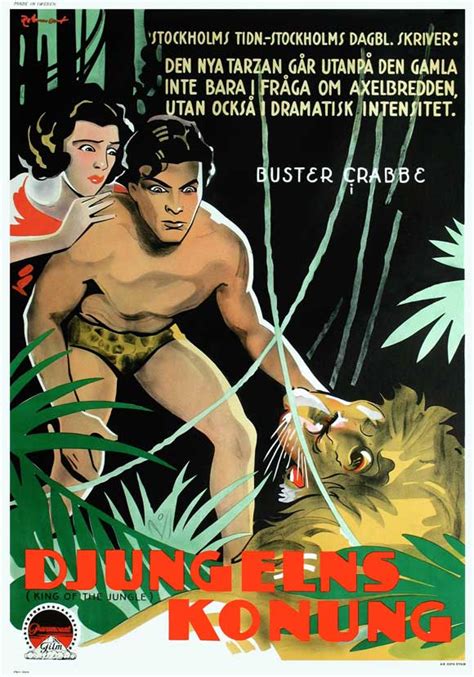 King of the Jungle Movie Posters From Movie Poster Shop