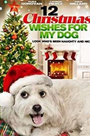 12 Wishes of Christmas