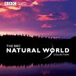 Bbc Natural World