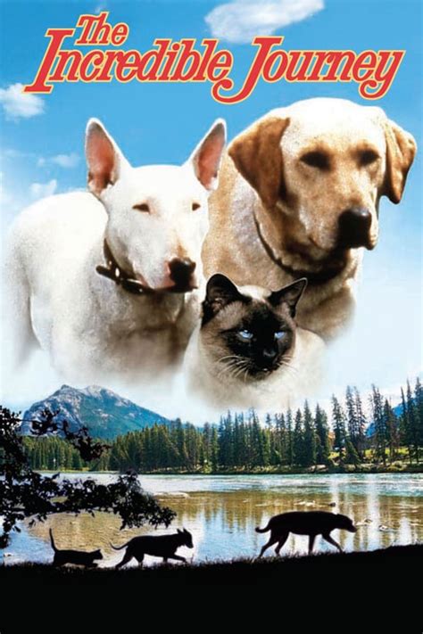 Similar Movies like Duma (2005)