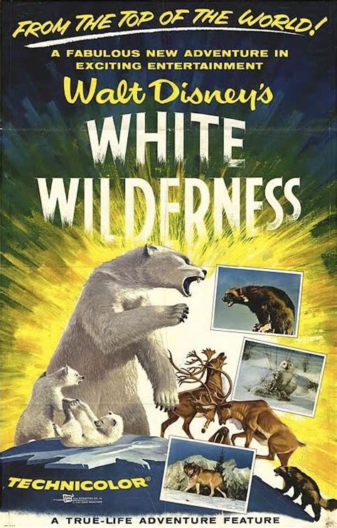 The Disney Films: White Wilderness 1958 | Disney's ...