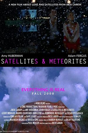 Satellites and Meteorites