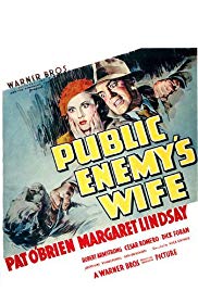 Public Enemy's Wife