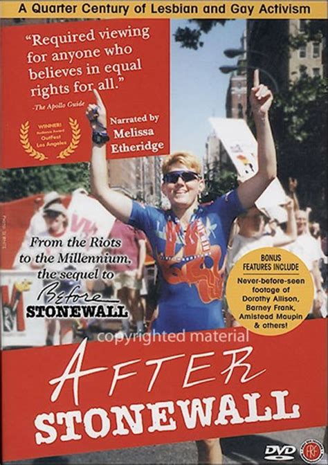 After Stonewall (DVD 1999) | DVD Empire
